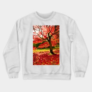 Autumn Acer Tree Westonbirt Arboretum Cotswolds Gloucestershire Crewneck Sweatshirt